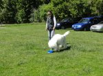 k-DSC02563.JPG