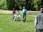 k-DSC02583.JPG