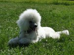 k-DSC02595.JPG