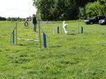 k-DSC02628.JPG