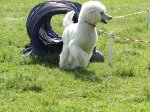 k-DSC02630.JPG