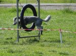 k-DSC02646.JPG