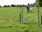 k-DSC02675.JPG