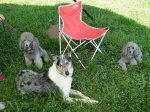 k-DSC02687.JPG