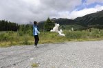k-_DSC9350.JPG