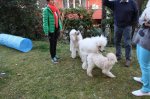 IMG_5546.jpg