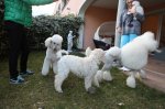 IMG_5567.jpg