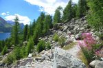 Engadin2013002.jpg