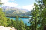 Engadin2013005.jpg