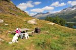 Engadin2013006.jpg