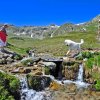 grimsel5511