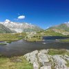grimsel5641