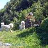 Grimselweekend016
