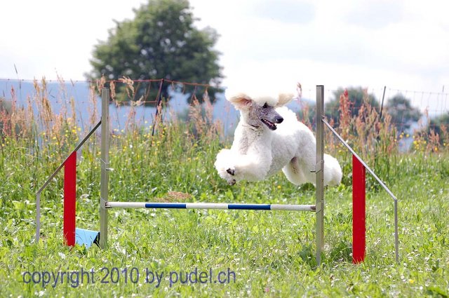 Faulenfuerst2010054
