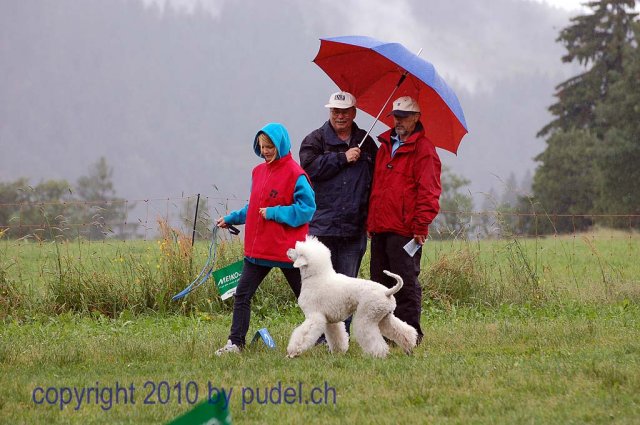 Faulenfuerst2010061