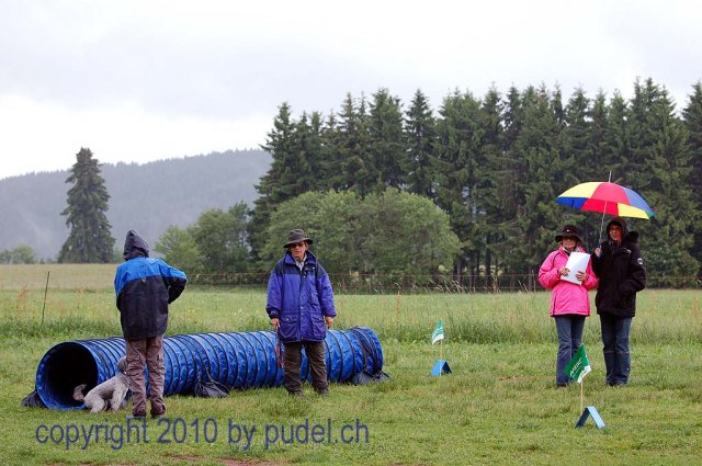 Faulenfuerst2010067
