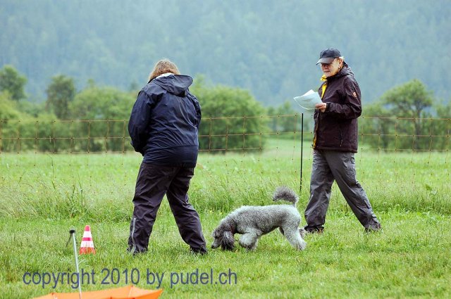 Faulenfuerst2010069