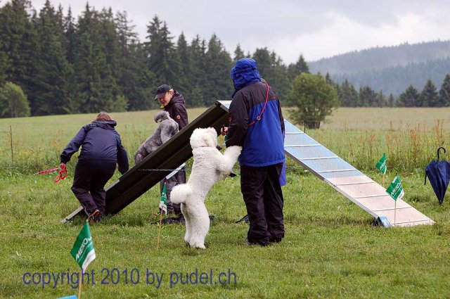 Faulenfuerst2010071