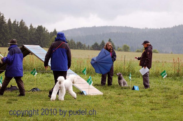 Faulenfuerst2010072