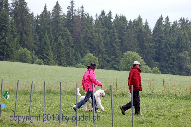 Faulenfuerst2010076