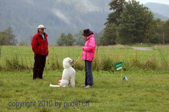 Faulenfuerst2010080