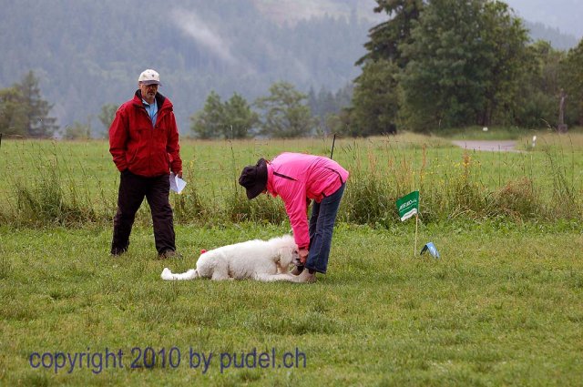 Faulenfuerst2010081