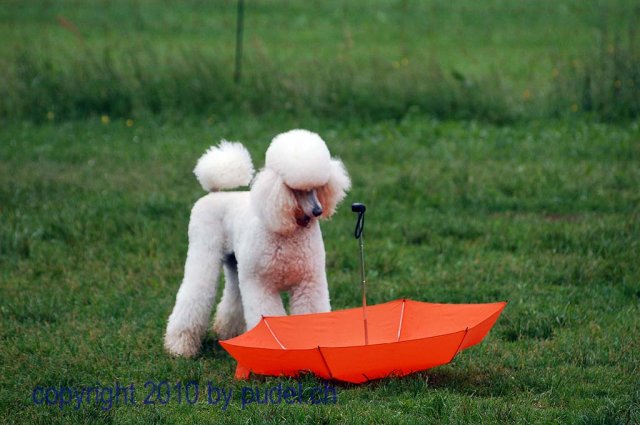 Faulenfuerst2010093