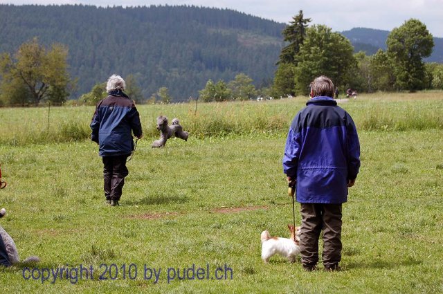 Faulenfuerst2010101