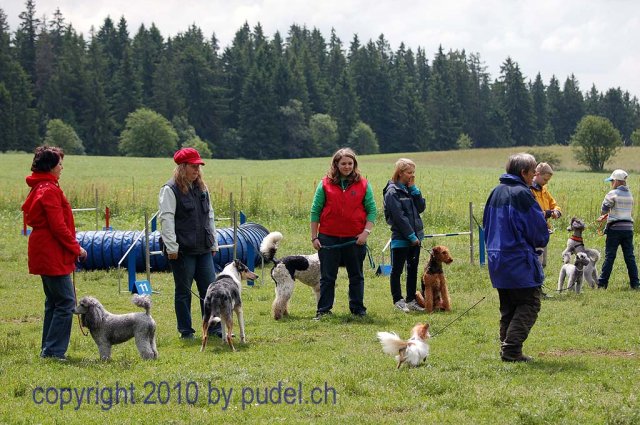 Faulenfuerst2010103