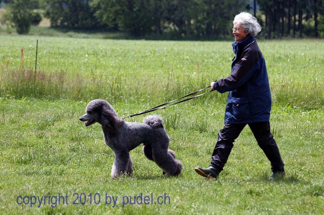 Faulenfuerst2010105