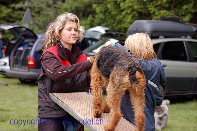 Faulenfuerst2010109