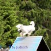Faulenfuerst2010004
