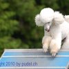 Faulenfuerst2010005