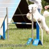 Faulenfuerst2010010