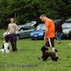 Faulenfuerst2010017