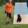 Faulenfuerst2010029