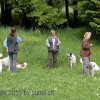 Faulenfuerst2010035