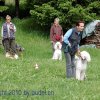 Faulenfuerst2010044