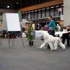 Fribourg_2011001