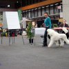 Fribourg_2011002