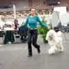 Fribourg_2011009