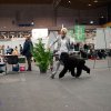 Fribourg_2011012