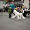 Fribourg_2011019