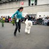 Fribourg_2011021