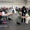 Fribourg_2011022