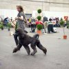 Fribourg_2011031